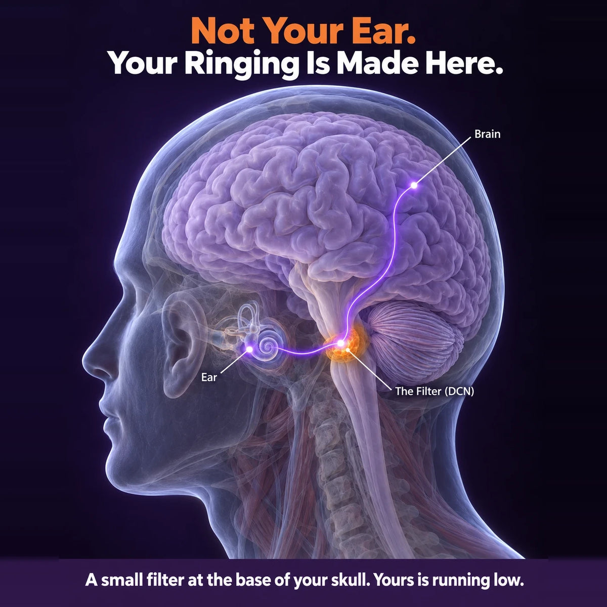 Not Your Ear — Your Ringing Is Made Here