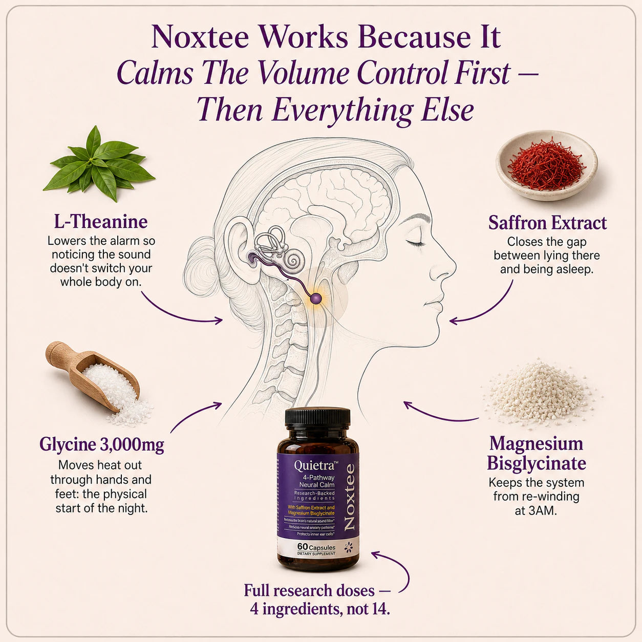 Noxtee ingredient wheel showing L-Theanine, saffron extract, glycine, and magnesium bisglycinate