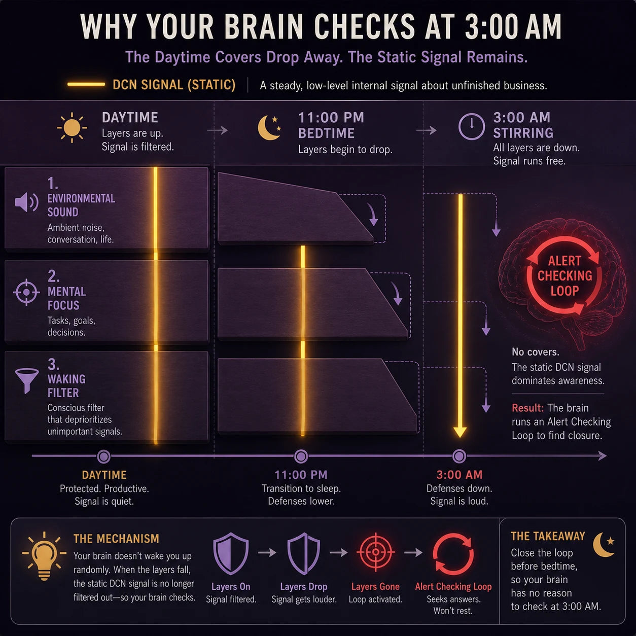 The sound stays the same while its daytime coverings fall away by 3 AM