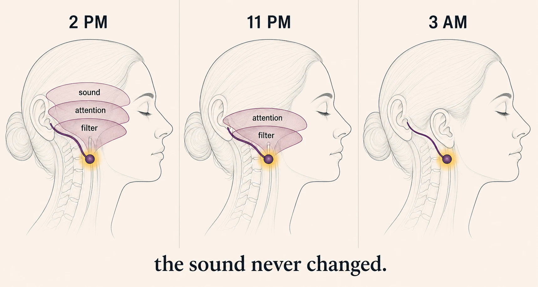 The sound stays the same while its daytime coverings fall away by 3 AM