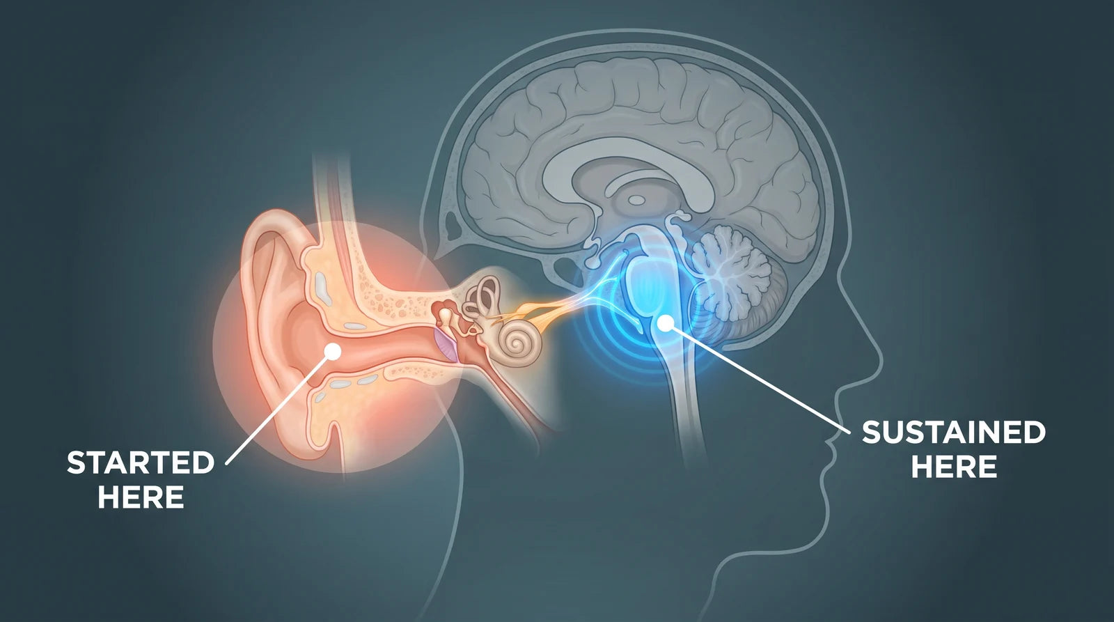 Ear trigger and brainstem sustainer