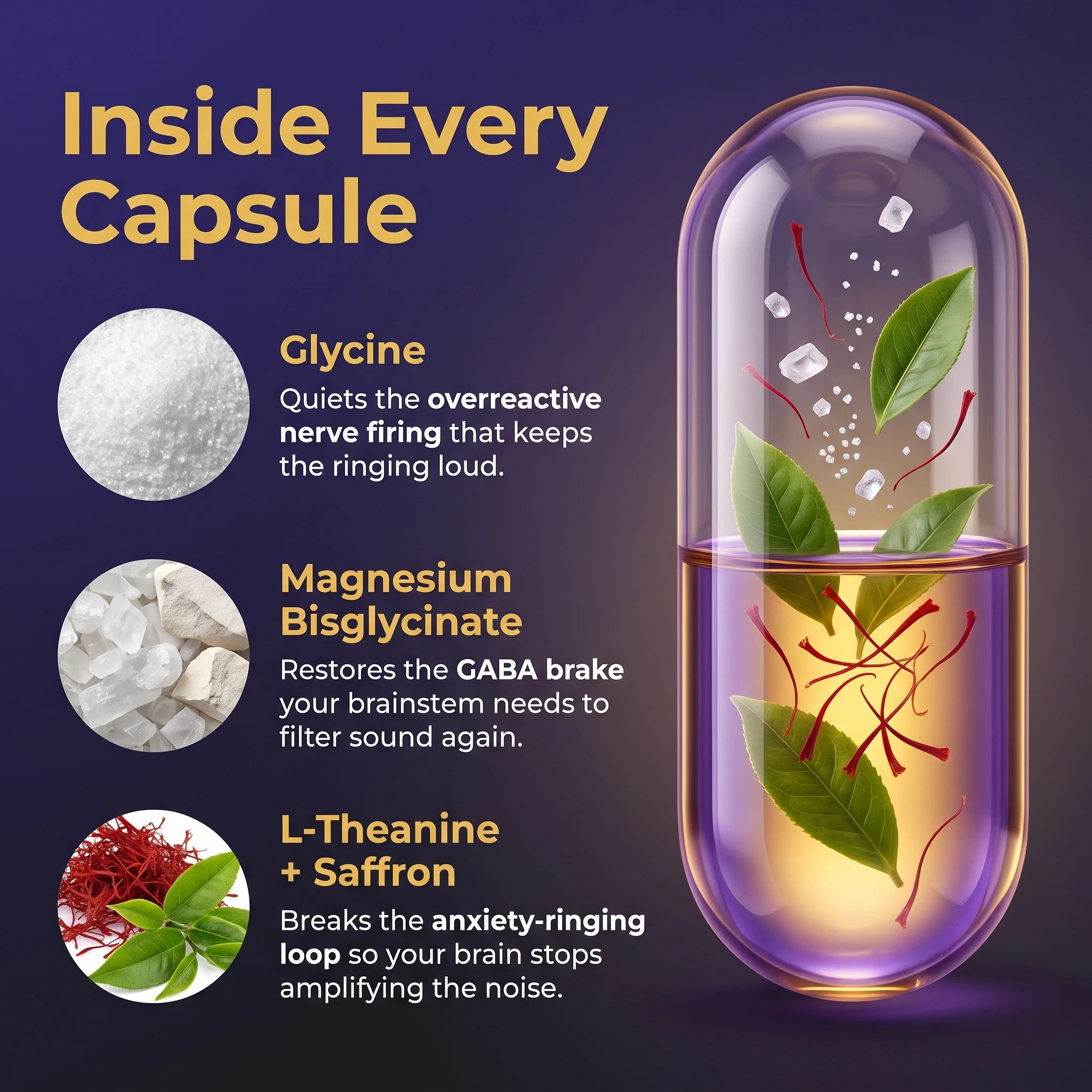 Inside every Quietra capsule showing Glycine Magnesium Bisglycinate L-Theanine and Saffron