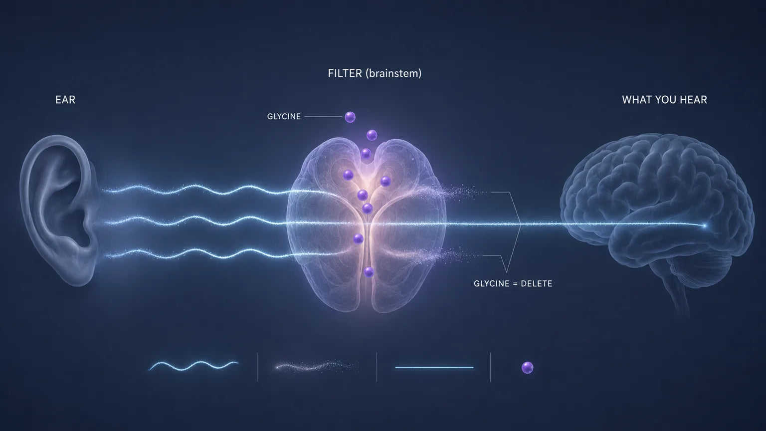 Glycine landing on the brainstem filter and deleting signals before they reach hearing