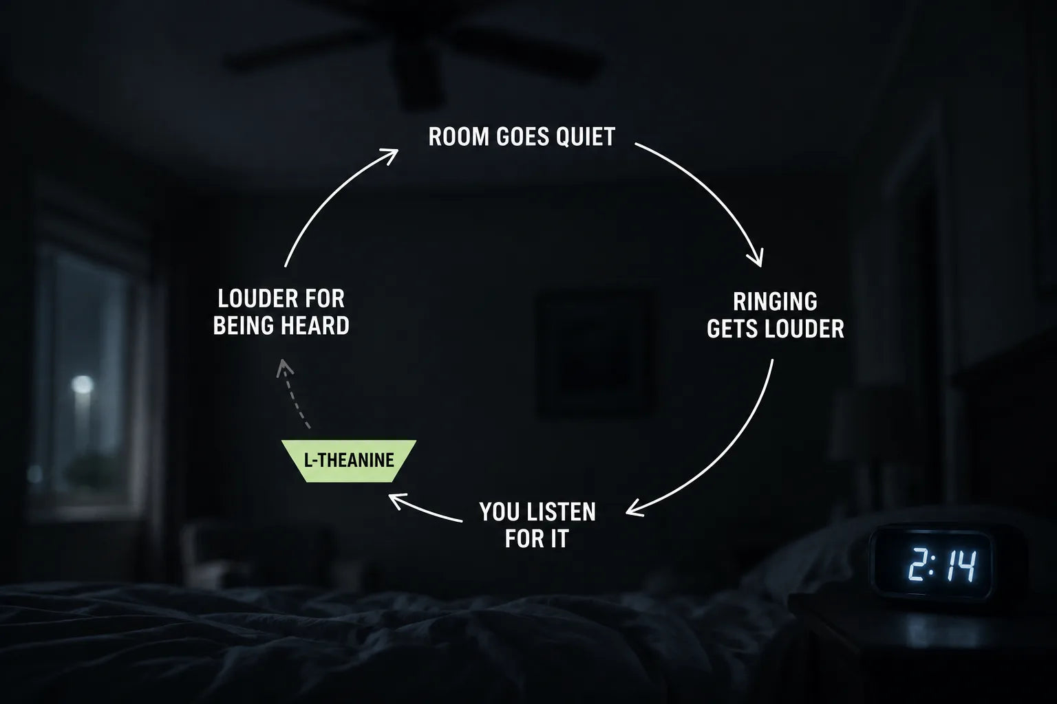 The 2 AM loop: room goes quiet, ringing gets louder, you listen for it, louder for being heard, with L-theanine breaking the loop